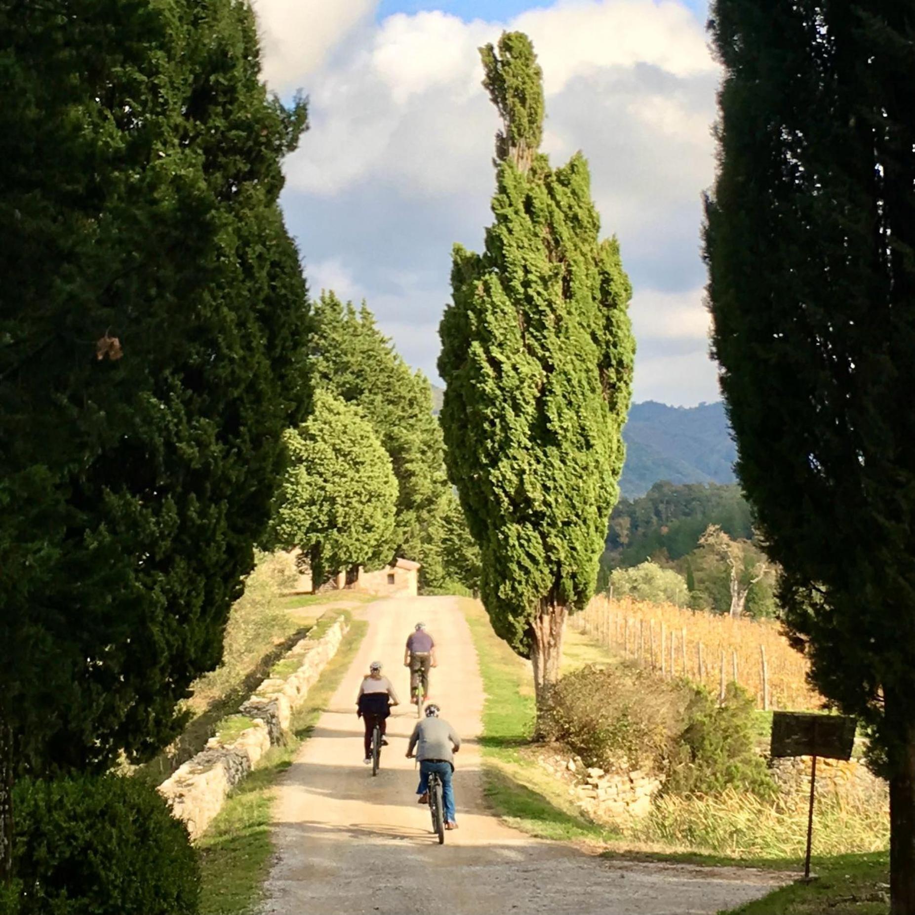 Capannelle Wine Resort Gaiole in Chianti Exterior photo