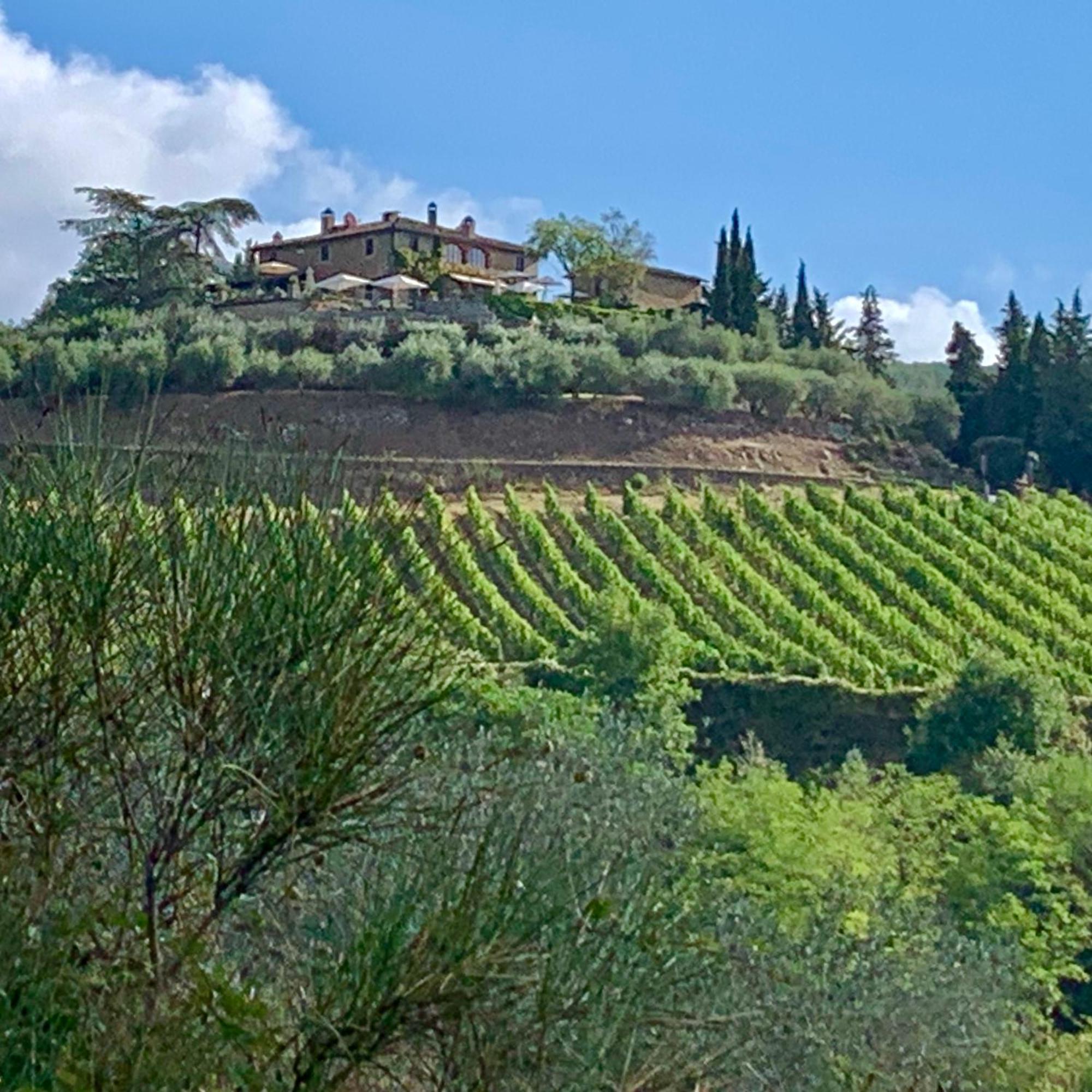 Capannelle Wine Resort Gaiole in Chianti Exterior photo